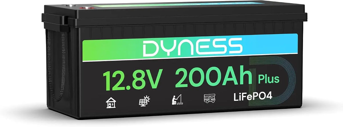 Batteria ricaricabile Dyness - 12V, 200Ah, 2560Wh