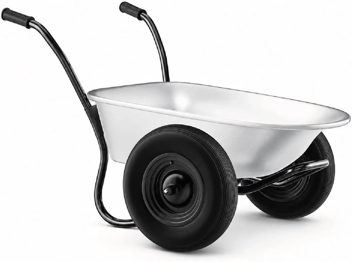 Prodotto per casa e tempo libero Carriola - colore Argento - 100 l, 150 kg