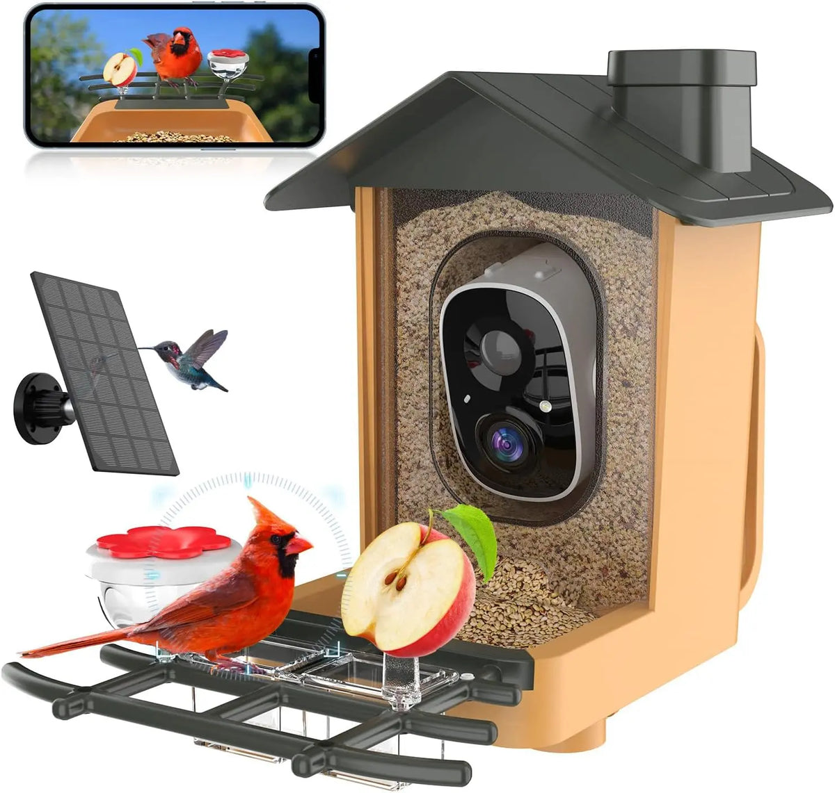 Telecamera di sicurezza Mangiatoia - automatico, con controllo intelligente