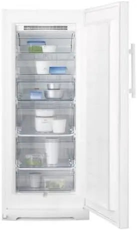 Congelatore Electrolux SG215N - per la conservazione a bassa temperatura