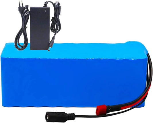Bicicletta elettrica - 36V, 30Ah, 200W