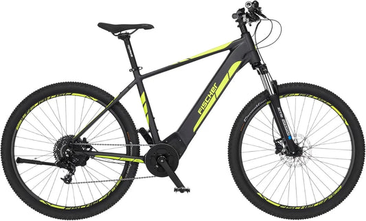 Bicicletta elettrica Fischer - colore Grigio - 36 V, 29 pollici