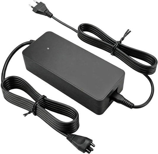 Bicicletta elettrica Caricatore - 36 V, 42 V